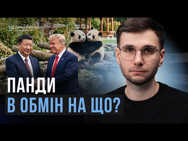 На що Китай обміняв своїх панд? Що насправді приховує візит Сі Дзіньпіна у Вашингтон
