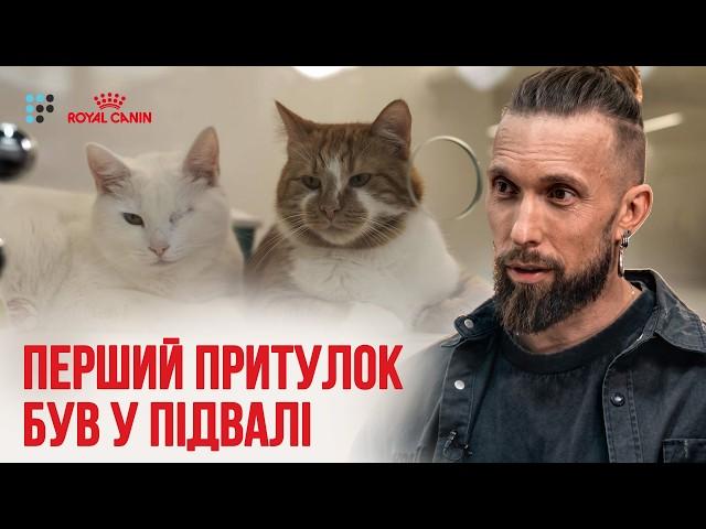 «Поки у законодавстві тварина — це річ, нічого не зміниться» | Олексій Суровцев